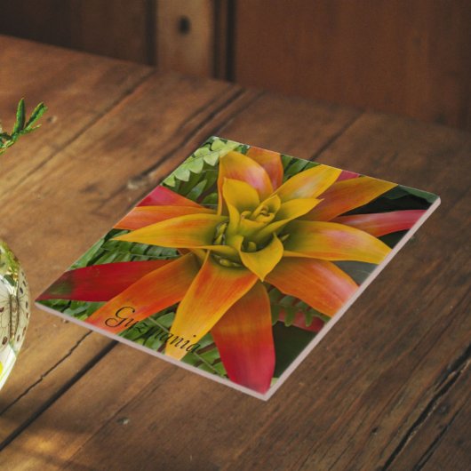Carreau Plante de Broméliacée Guzmania Florale