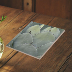 Carreau Plante de cactus Agave de style sud-ouest