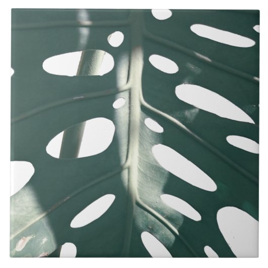 Carreau Plante de fromage suisse vert pâle funky (Devant)