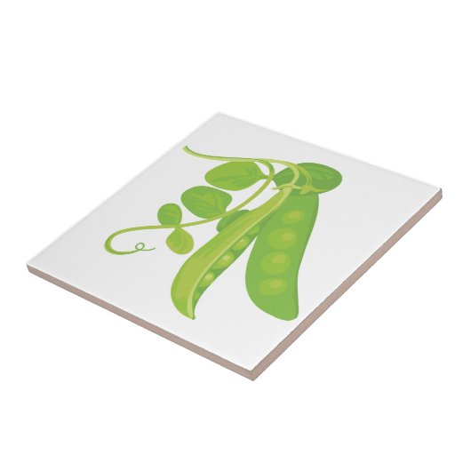 Carreau Plante de pois (Côté)