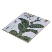 Carreau Plante de tabac, plat 7, de 'collection Precieuse (Côté)