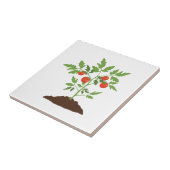 Carreau Plante de tomates (Côté)