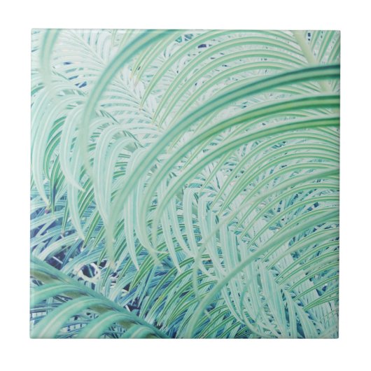 Carreau Plante doux Palm Feuille Pastel (Devant)