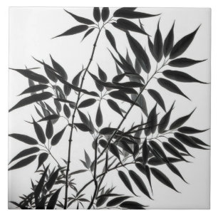 Carreau Plante en bambou noir et blanc