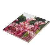 Carreau Plante Pink Pitcher (Côté)