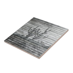 Carreau Plantes de Cactus sur Planches de Bois Photo en No