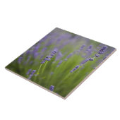 Carreau Plantes de lavande 2 (Côté)