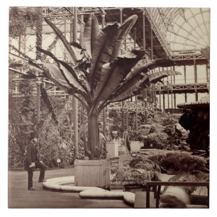 Carreau Plantes tropicales dans la salle égyptienne, Pala