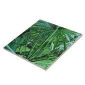 Carreau Plantes tropicales dans l'étang de sel (Côté)