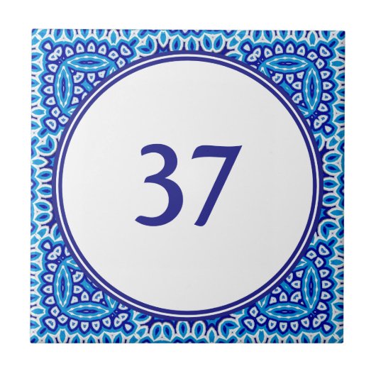 Carreau Plaque de coordonnées de la Maison Blanche et Bleu (Devant)