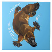 Carreau platypus (Devant)