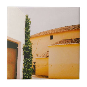 Carreau Plaza de Toros de Ronda - Andalousie - Espagne