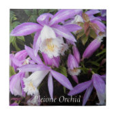 Carreau Pleione Windowsill Orchidées Floral (Devant)