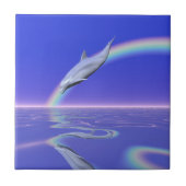 Carreau Plongée avec arc-en-ciel (Devant)