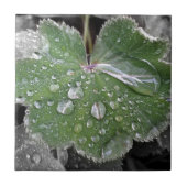 Carreau pluie lourde (Devant)