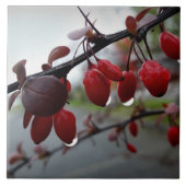 Carreau Pluie sur la brindille (Devant)