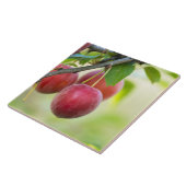 Carreau Plum cerise sur branche (Côté)