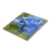 Carreau Plumbago - Les fleurs bleues de l'été Photographie (Côté)