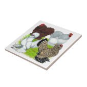 Carreau Plume de coqs nains à jambes (Côté)