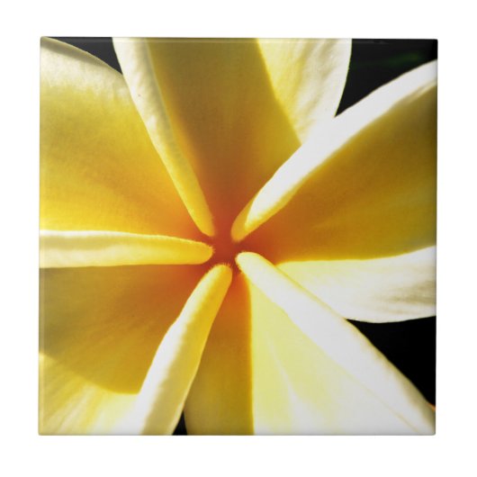 Carreau plumeria (Devant)
