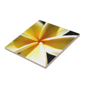 Carreau plumeria (Côté)
