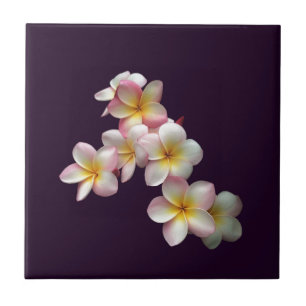 Carreau Plumeria fleurit sur violet foncé