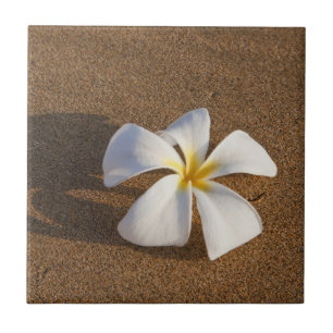 Carreau Plumeria sur une plage de sable, Maui, Hawaï, État