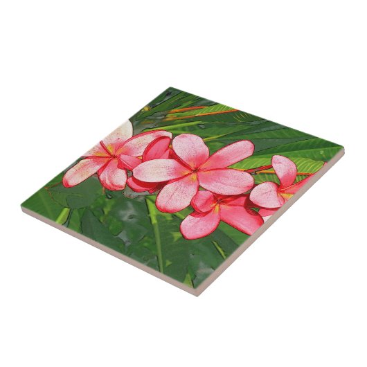 Carreau plumérie (Côté)
