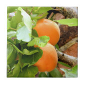 CARREAU PLUMES (Devant)