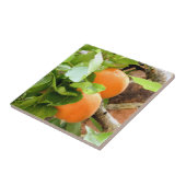 CARREAU PLUMES (Côté)