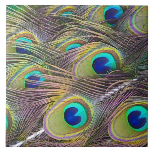 Carreau Plumes de paon (Devant)