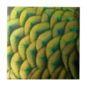 Carreau Plumes de paon II Nature colorée