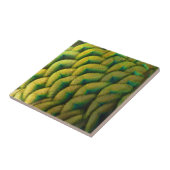 Carreau Plumes de paon II Nature colorée (Côté)