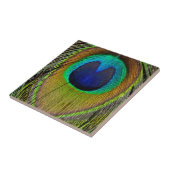 Carreau Plumes de queue de paon mâle (Côté)