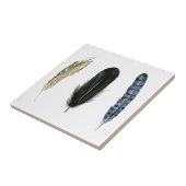 Carreau Plumes douces I (Côté)