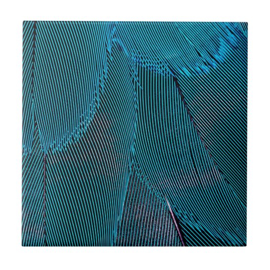 Carreau plumes électriques (Devant)