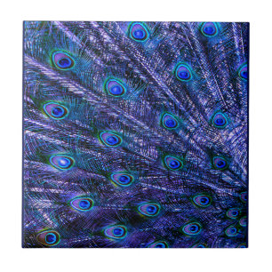 Carreau Plumes violettes Peacock Couverture bébé