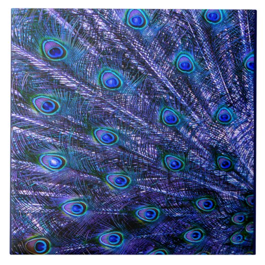 Carreau Plumes violettes Peacock Couverture bébé (Devant)