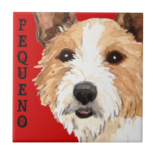 Carreau Podengo Pequeno (Devant)