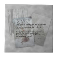 Poésie de Robert Frost