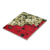 Carreau Poinsettias blanches et rouges I Holiday Floral (Côté)