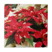 Carreau Poinsettias Festive Rouge Blanc Floral (Devant)