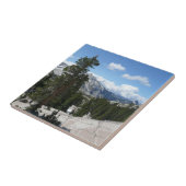 Carreau Point III d'Olmsted dans le parc national Yosemite (Côté)