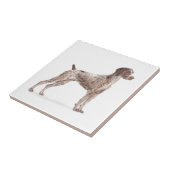 Carreau Pointeur germanique (Côté)