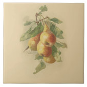 Carreau Poires vintages (Devant)