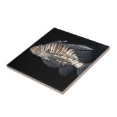 Carreau Poisson (Côté)