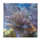 Carreau Poisson (Devant)