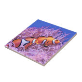 Carreau Poisson clown (Côté)