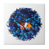 Carreau Poisson clown (Devant)