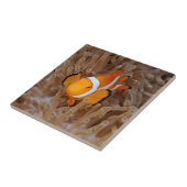 Carreau Poisson-clown - Molokai, falaise de la côte nord (Côté)